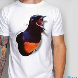 Kaos Burung Berkicau  Kaos 3D Gambar Burung  Kaos Kicau 