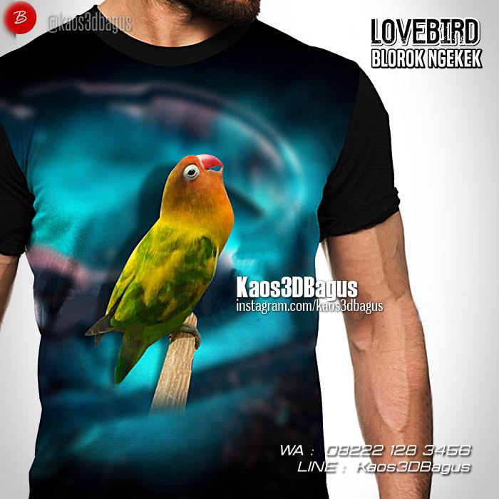  Kaos  Burung Berkicau Kaos  3D  Gambar Burung Kaos  Kicau  