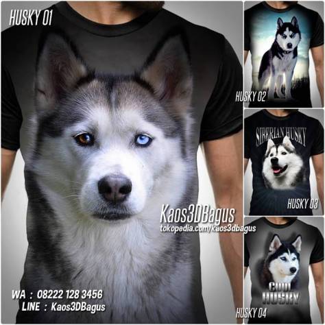 husky lover indonesia, pecinta anjing husky, siberian husky dog