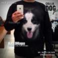 Collie Dog, Kaos DOGGY, Kaos GAMBAR ANJING, Kaos3D, Dog Lover